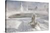 Frost covered trees and snow in thermal basin, Tire Pool, Midway Geyser Basin, Yellowstone-Allen Lloyd-Stretched Canvas