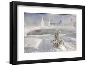 Frost covered trees and snow in thermal basin, Tire Pool, Midway Geyser Basin, Yellowstone-Allen Lloyd-Framed Photographic Print