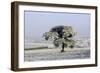 Frost Covering Fields and Pine Tree-null-Framed Photographic Print