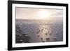 Frost Flowers Formed on Thin Sea Ice When the Atmosphere Is Much Colder Than the Underlying Ice-Louise Murray-Framed Photographic Print