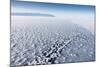 Frost Flowers Formed on Thin Sea Ice When the Atmosphere Is Much Colder Than the Underlying Ice-Louise Murray-Mounted Photographic Print