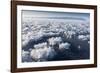 Frost Flowers Formed on Thin Sea Ice When the Atmosphere Is Much Colder Than the Underlying Ice-Louise Murray-Framed Photographic Print