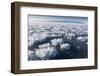 Frost Flowers Formed on Thin Sea Ice When the Atmosphere Is Much Colder Than the Underlying Ice-Louise Murray-Framed Photographic Print