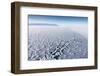Frost Flowers Formed on Thin Sea Ice When the Atmosphere Is Much Colder Than the Underlying Ice-Louise Murray-Framed Photographic Print