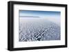 Frost Flowers Formed on Thin Sea Ice When the Atmosphere Is Much Colder Than the Underlying Ice-Louise Murray-Framed Photographic Print