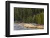 Frost on autumn colors on bank of Madison River, Yellowstone National Park, Wyoming-Adam Jones-Framed Photographic Print