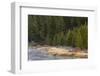 Frost on autumn colors on bank of Madison River, Yellowstone National Park, Wyoming-Adam Jones-Framed Photographic Print