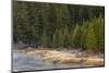 Frost on autumn colors on bank of Madison River, Yellowstone National Park, Wyoming-Adam Jones-Mounted Photographic Print