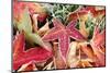 Frost on Fall Leaves-Craig Tuttle-Mounted Photographic Print