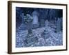 Frost on Headstones and Gravestones in a Graveyard at Ossington, Nottinghamshire, England-Mawson Mark-Framed Photographic Print