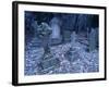 Frost on Headstones and Gravestones in a Graveyard at Ossington, Nottinghamshire, England-Mawson Mark-Framed Photographic Print