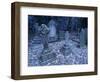 Frost on Headstones and Gravestones in a Graveyard at Ossington, Nottinghamshire, England-Mawson Mark-Framed Photographic Print