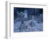 Frost on Headstones and Gravestones in a Graveyard at Ossington, Nottinghamshire, England-Mawson Mark-Framed Photographic Print