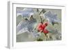 Frost on Holly-null-Framed Photographic Print