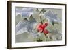 Frost on Holly-null-Framed Photographic Print