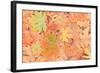 Frost on Maple Leaves, Mill Creek, Wa, USA-Stuart Westmorland-Framed Photographic Print