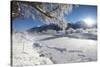 Frost on trees frame the snowy landscape and frozen river, Inn, Celerina, Maloja, Canton of Graubun-Roberto Moiola-Stretched Canvas