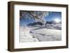 Frost on trees frame the snowy landscape and frozen river, Inn, Celerina, Maloja, Canton of Graubun-Roberto Moiola-Framed Photographic Print