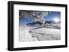 Frost on trees frame the snowy landscape and frozen river, Inn, Celerina, Maloja, Canton of Graubun-Roberto Moiola-Framed Photographic Print