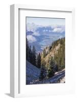 Frost on trees in the woods of the Ammergau Alps, Tegelberg, Fussen, Bavaria, Germany, Europe-Roberto Moiola-Framed Photographic Print