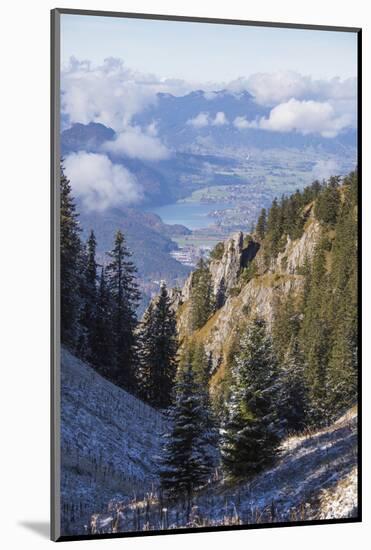 Frost on trees in the woods of the Ammergau Alps, Tegelberg, Fussen, Bavaria, Germany, Europe-Roberto Moiola-Mounted Photographic Print