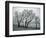 Frost on Trees on Farmland in Winter-Hodson Jonathan-Framed Photographic Print