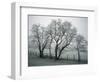 Frost on Trees on Farmland in Winter-Hodson Jonathan-Framed Photographic Print