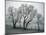 Frost on Trees on Farmland in Winter-Hodson Jonathan-Mounted Photographic Print