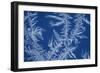 Frost Patterns on Window-Ake Lindau-Framed Photographic Print