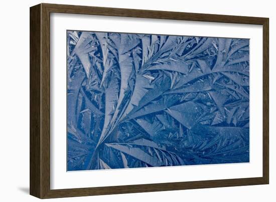 Frost patterns-Charles Bowman-Framed Photographic Print