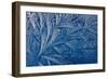 Frost patterns-Charles Bowman-Framed Photographic Print