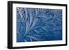 Frost patterns-Charles Bowman-Framed Photographic Print