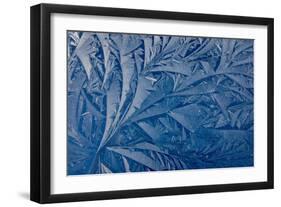 Frost patterns-Charles Bowman-Framed Photographic Print