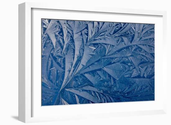 Frost patterns-Charles Bowman-Framed Photographic Print