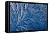 Frost patterns-Charles Bowman-Framed Stretched Canvas