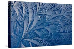 Frost patterns-Charles Bowman-Stretched Canvas