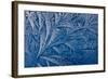 Frost patterns-Charles Bowman-Framed Photographic Print