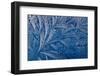 Frost patterns-Charles Bowman-Framed Photographic Print