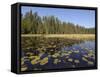 Frost River, Boundary Waters Canoe Area Wilderness, Superior National Forest, Minnesota, USA-Gary Cook-Framed Stretched Canvas