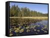 Frost River, Boundary Waters Canoe Area Wilderness, Superior National Forest, Minnesota, USA-Gary Cook-Framed Stretched Canvas