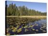 Frost River, Boundary Waters Canoe Area Wilderness, Superior National Forest, Minnesota, USA-Gary Cook-Stretched Canvas