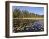 Frost River, Boundary Waters Canoe Area Wilderness, Superior National Forest, Minnesota, USA-Gary Cook-Framed Photographic Print