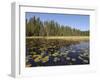 Frost River, Boundary Waters Canoe Area Wilderness, Superior National Forest, Minnesota, USA-Gary Cook-Framed Photographic Print