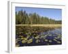 Frost River, Boundary Waters Canoe Area Wilderness, Superior National Forest, Minnesota, USA-Gary Cook-Framed Photographic Print