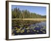 Frost River, Boundary Waters Canoe Area Wilderness, Superior National Forest, Minnesota, USA-Gary Cook-Framed Photographic Print