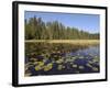 Frost River, Boundary Waters Canoe Area Wilderness, Superior National Forest, Minnesota, USA-Gary Cook-Framed Photographic Print