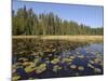 Frost River, Boundary Waters Canoe Area Wilderness, Superior National Forest, Minnesota, USA-Gary Cook-Mounted Photographic Print