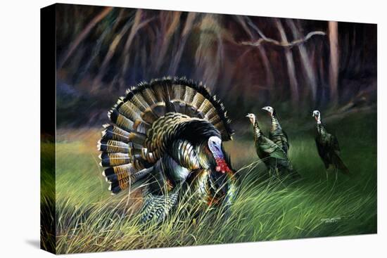 Frost Turkey-Spencer Williams-Stretched Canvas