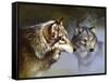 Frost Wolves-Spencer Williams-Framed Stretched Canvas