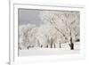 Frost-bcoulter-Framed Photographic Print